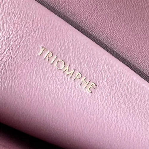 High Quality Luxury Celine Triomphe Bag – Style 24956 product detail