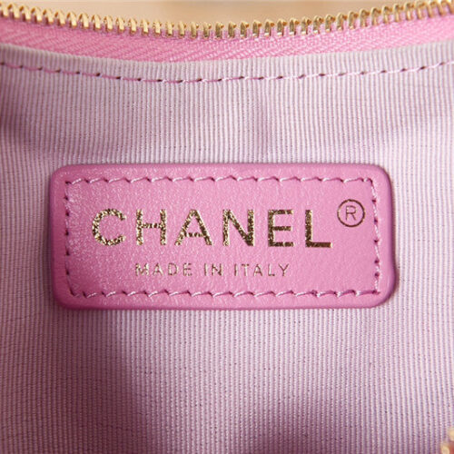 High Quality Luxury Chanel Small Hobo Bag Pink product detail