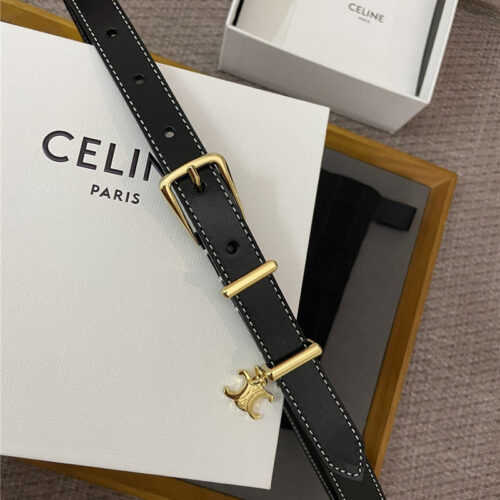 High Quality Luxury Celine Embroidered Belt In Vintage Calfskin – Style 38513 product detail