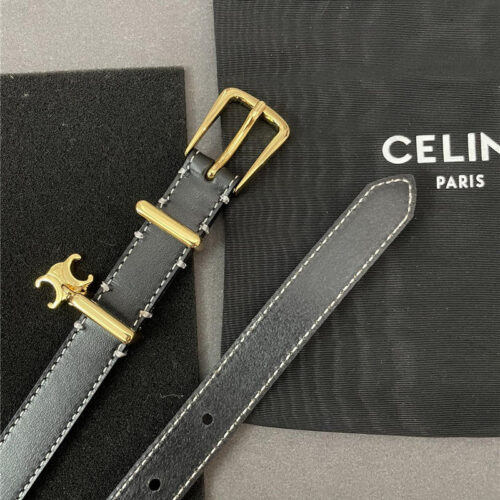 High Quality Luxury Celine Embroidered Belt In Vintage Calfskin – Style 38513 product detail