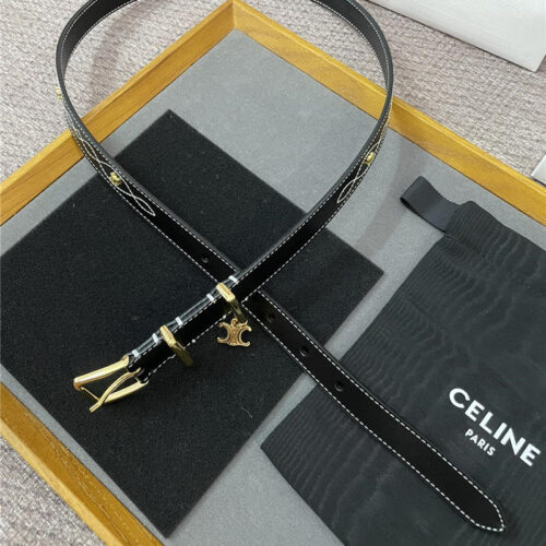 High Quality Luxury Celine Embroidered Belt In Vintage Calfskin – Style 38513 alternate view