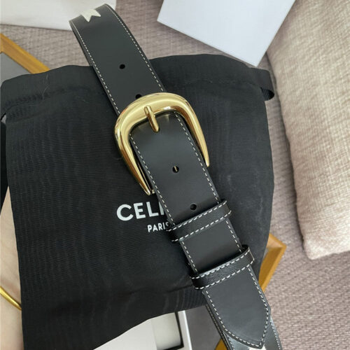 High Quality Luxury Celine Embroidered Belt In Vintage Calfskin – Style 83046 product detail