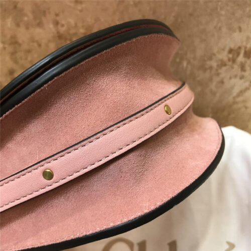 High Quality Luxury Chloe Small Nile Bracelet Bag – Style 30293 product detail