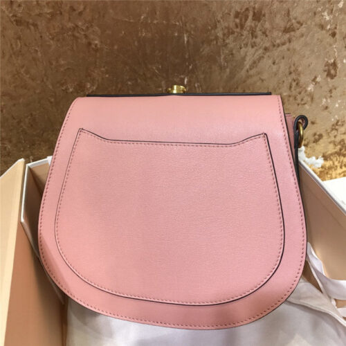 High Quality Luxury Chloe Small Nile Bracelet Bag – Style 30293 alternate view