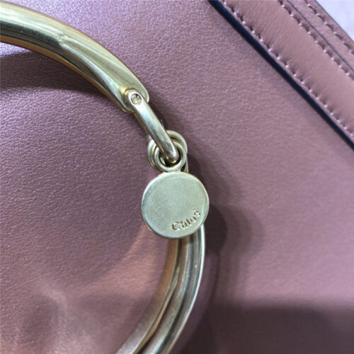 High Quality Luxury Chloe Small Nile Bracelet Bag – Style 30296 product detail