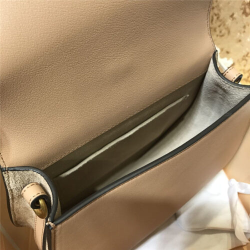 High Quality Luxury Chloe Small Nile Bracelet Bag product detail