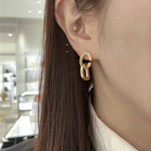High Quality Luxury Dior Frosted Letter Earrings alternate view