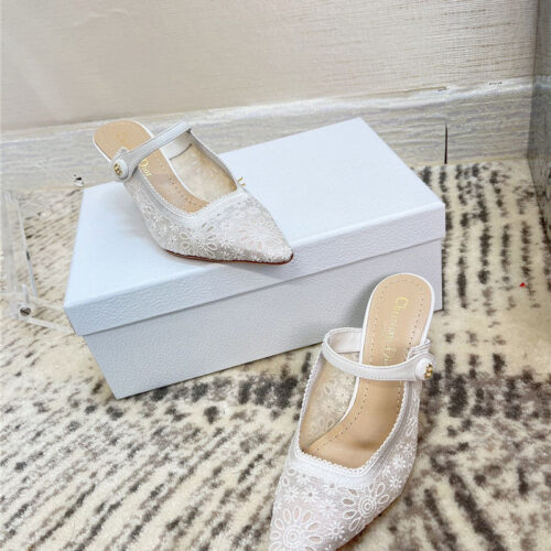 High Quality Luxury Dior Capture Mules product detail
