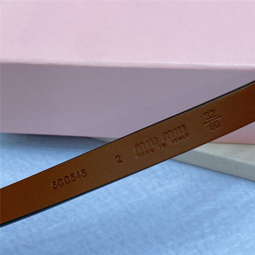 High Quality Luxury Miumiu Metal Perforated Micro-Logo Leather Belt – Style 49766 product detail