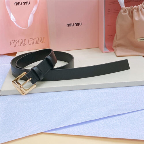 High Quality Luxury Miumiu Metal Perforated Micro-Logo Leather Belt alternate view