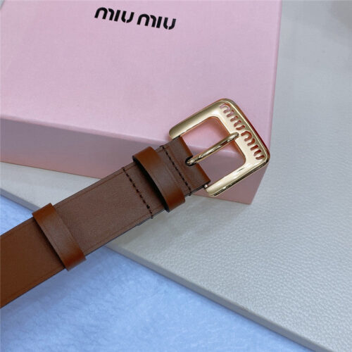 High Quality Luxury Miumiu Metal Perforated Micro-Logo Leather Belt – Style 13606 product detail