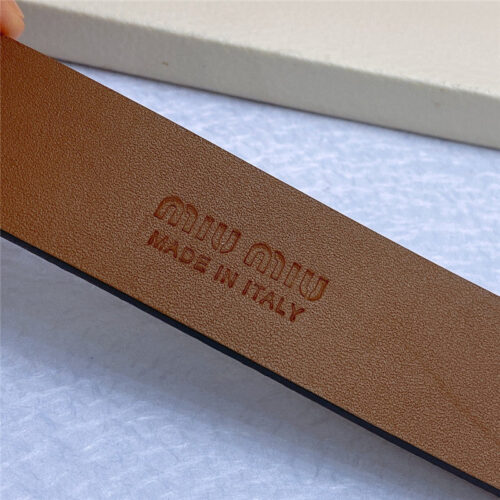 High Quality Luxury Miumiu Metal Perforated Micro-Logo Leather Belt – Style 13606 product detail