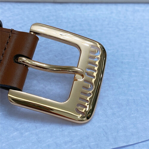 High Quality Luxury Miumiu Metal Perforated Micro-Logo Leather Belt – Style 13606 product detail