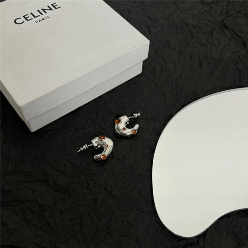 High Quality Luxury Celine New Earrings – Style 49603 product detail
