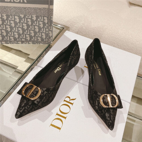High Quality Luxury Dior Early Spring New Cat Heel Shoes product detail
