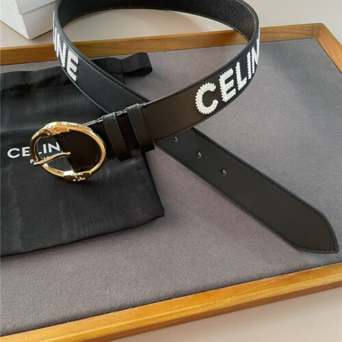 High Quality Luxury Celine Embroidered Belt In Vintage Calfskin alternate view