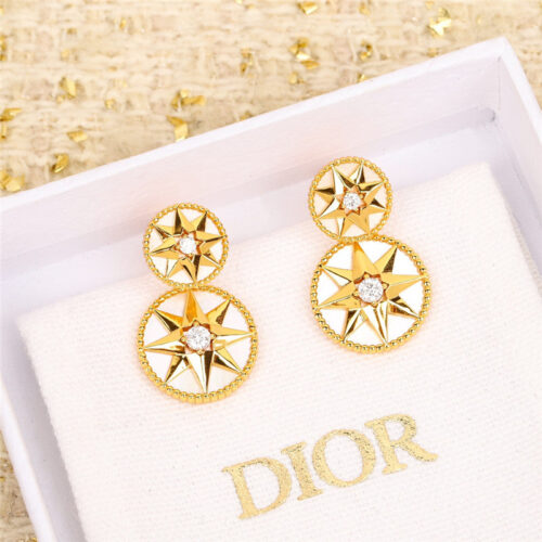 High Quality Luxury Dior Compass Earrings alternate view