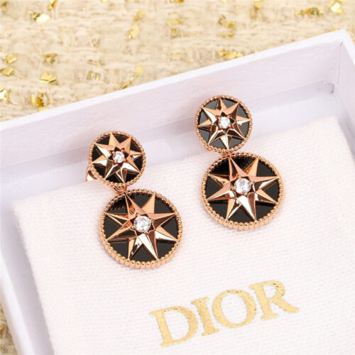 High Quality Luxury Dior Compass Earrings product detail