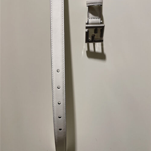 High Quality Luxury Fendi New Calfskin Belt – Style 60198 product detail