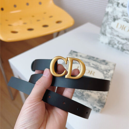 High Quality Luxury Dior Saddle Belt alternate view