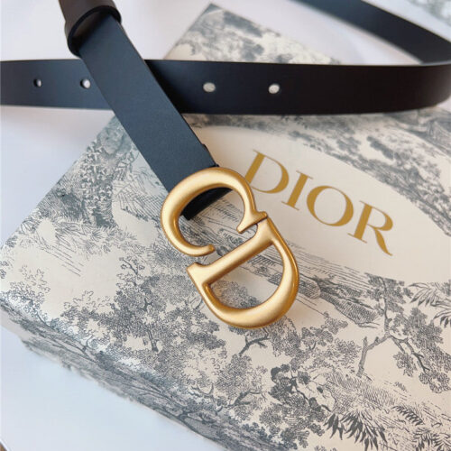 High Quality Luxury Dior Saddle Belt product detail