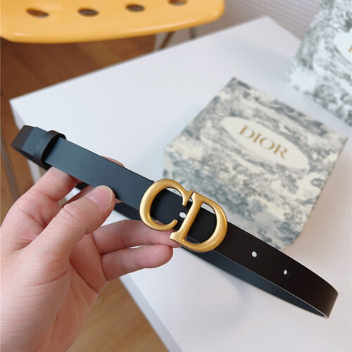 High Quality Luxury Dior Saddle Belt