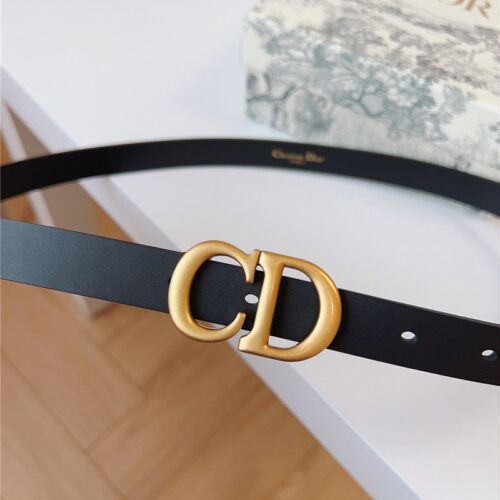 High Quality Luxury Dior Saddle Belt product detail