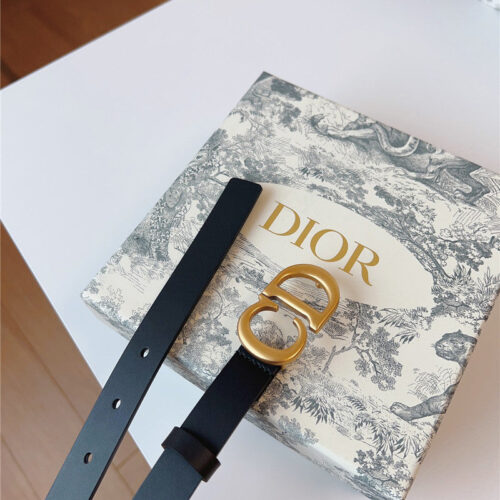 High Quality Luxury Dior Saddle Belt product detail