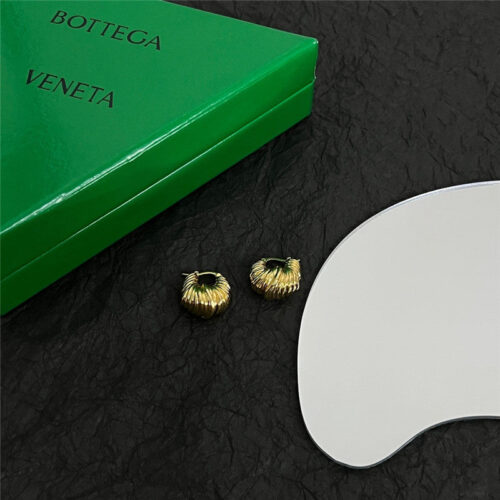 High Quality Luxury Bottega Veneta New Earrings