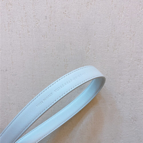 High Quality Luxury YSL Double Buckle Narrow Belt – Style 19174 product detail