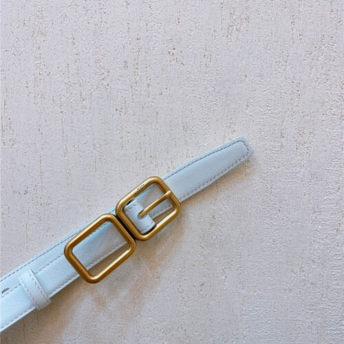 High Quality Luxury YSL Double Buckle Narrow Belt – Style 19174 alternate view