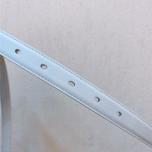 High Quality Luxury YSL Double Buckle Narrow Belt – Style 19174 product detail
