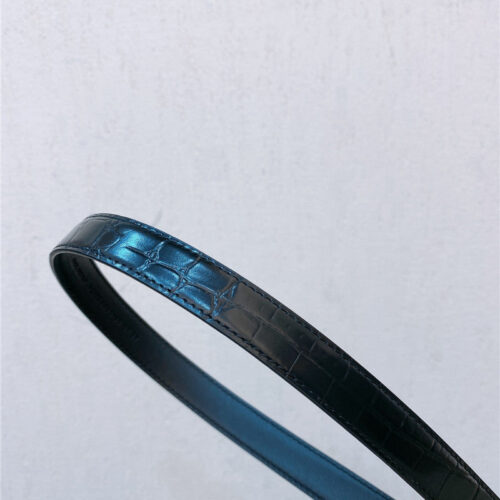 High Quality Luxury YSL Double Buckle Narrow Belt – Style 50246 product detail