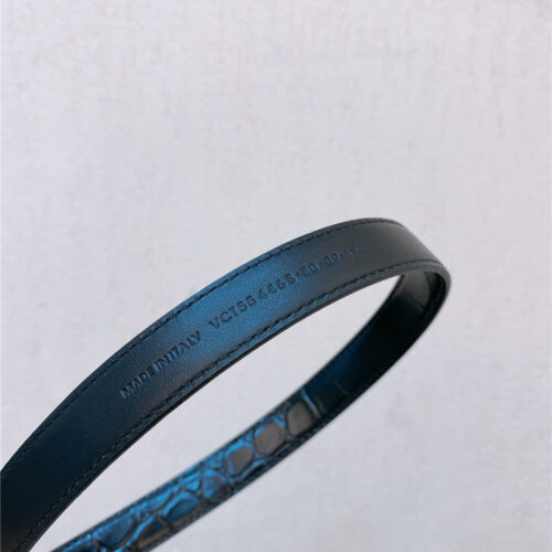 High Quality Luxury YSL Double Buckle Narrow Belt product detail