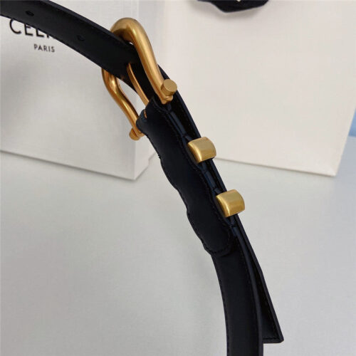 High Quality Luxury Celine New Belt – Style 12422 product detail