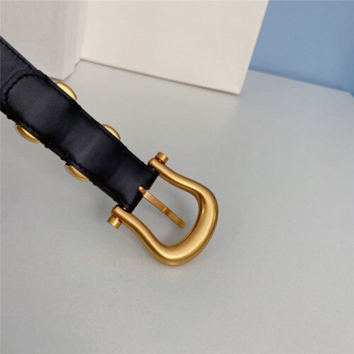 High Quality Luxury Celine New Belt – Style 12422 product detail