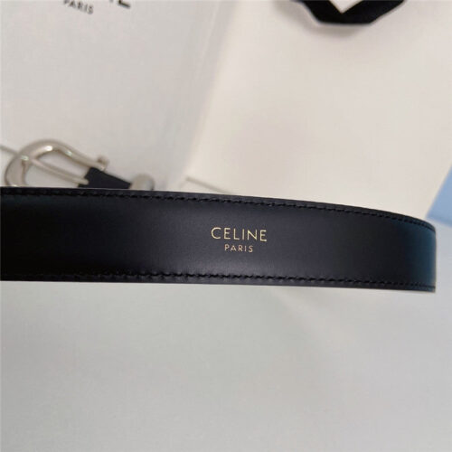 High Quality Luxury Celine New Belt – Style 45190 product detail