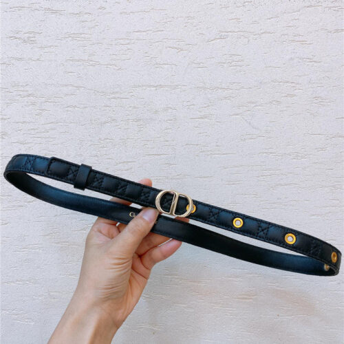 High Quality Luxury Dior Gold Finish Metal Cd Belt – Style 95878