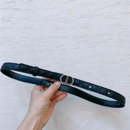 High Quality Luxury Dior Gold Finish Metal Cd Belt – Style 28646
