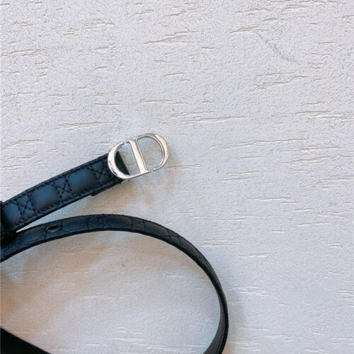 High Quality Luxury Dior Gold Finish Metal Cd Belt – Style 28646 product detail