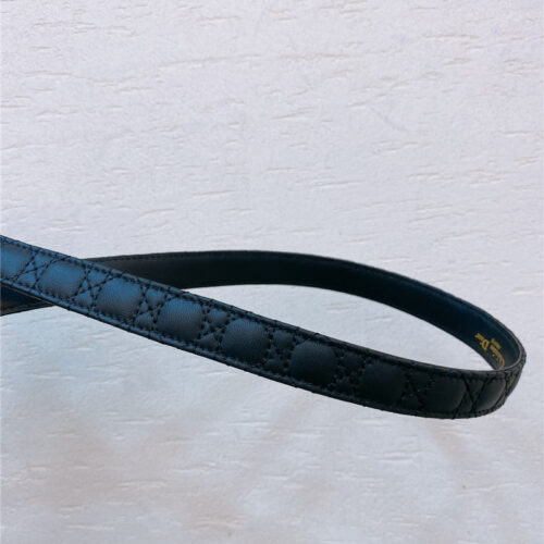 High Quality Luxury Dior Gold Finish Metal Cd Belt – Style 28646 product detail