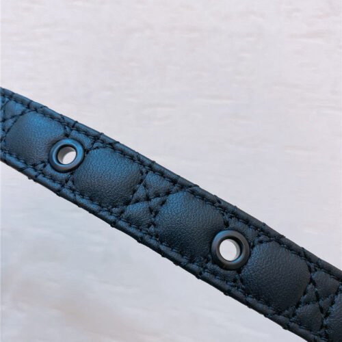 High Quality Luxury Dior Gold Finish Metal Cd Belt – Style 28646 product detail