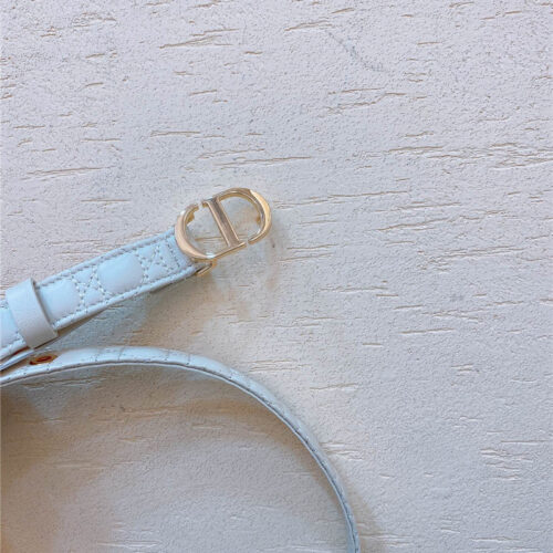 High Quality Luxury Dior Gold Finish Metal Cd Belt product detail