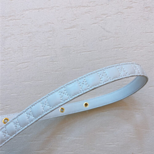 High Quality Luxury Dior Gold Finish Metal Cd Belt product detail
