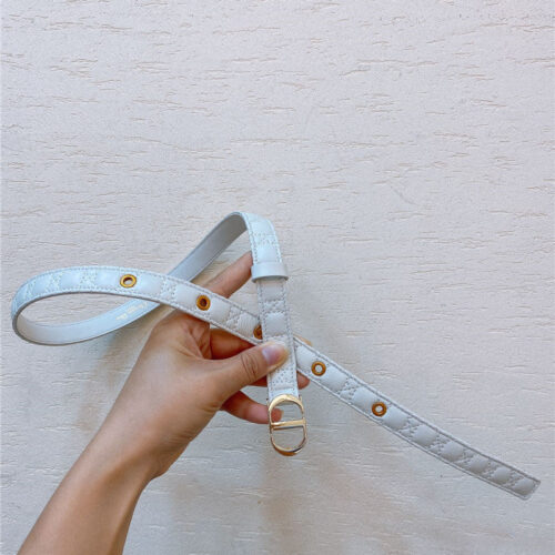 High Quality Luxury Dior Gold Finish Metal Cd Belt alternate view