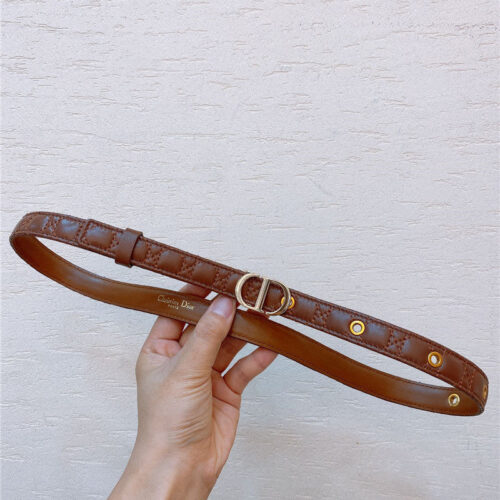 High Quality Luxury Dior Gold Finish Metal Cd Belt – Style 26950