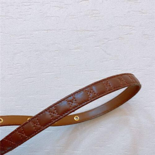 High Quality Luxury Dior Gold Finish Metal Cd Belt – Style 26950 product detail