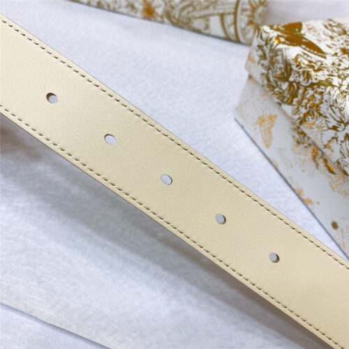 High Quality Luxury Dior New D-Fence Dior Belt product detail