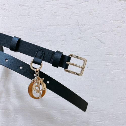 High Quality Luxury Dior New Cd Pin Buckle Belt product detail