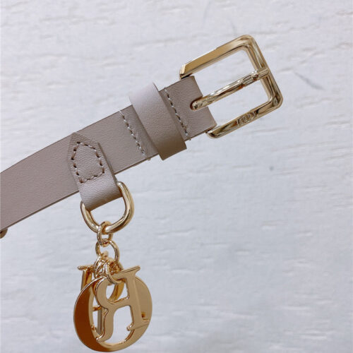 High Quality Luxury Dior New Cd Pin Buckle Belt – Style 98118 product detail